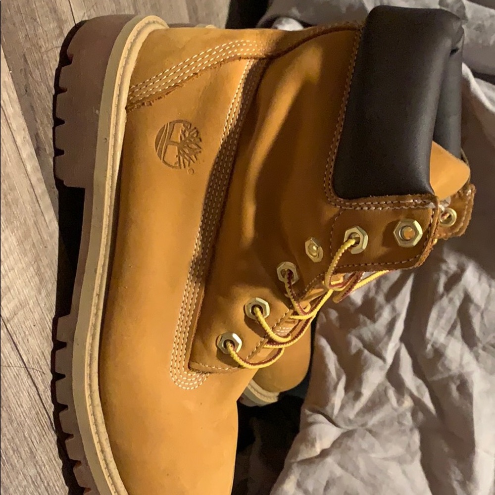 Wheat timberlands